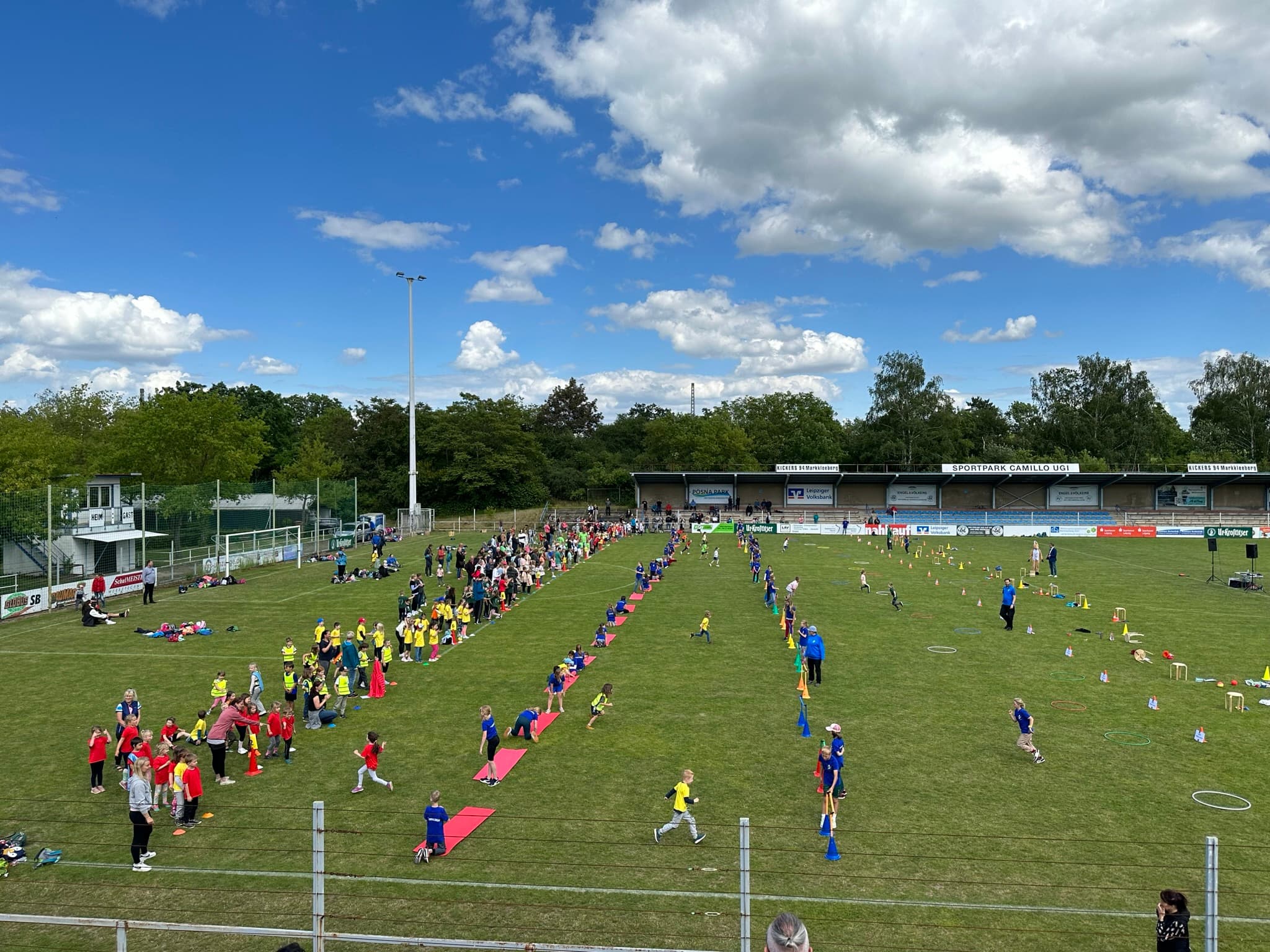 Känguru 5