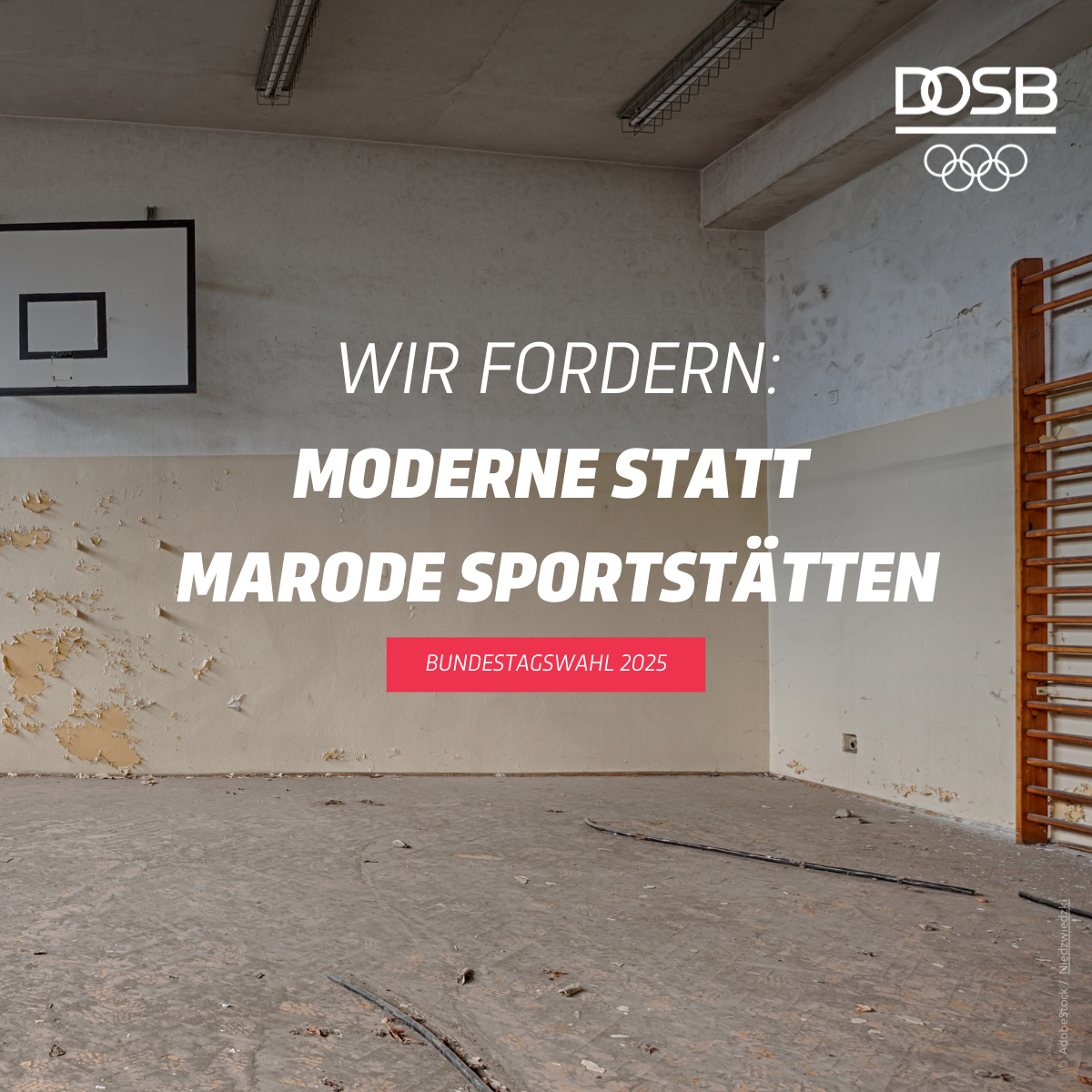 Zehn-Kernforderungen-BTW2025-Nummer-1–DOSB-1zu1